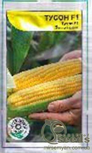 Кукурудза цукрова Тусон F1 - 5г. А (Syngenta) Кукурудза цукрова Тусон F1 - 5г. А (Syngenta)