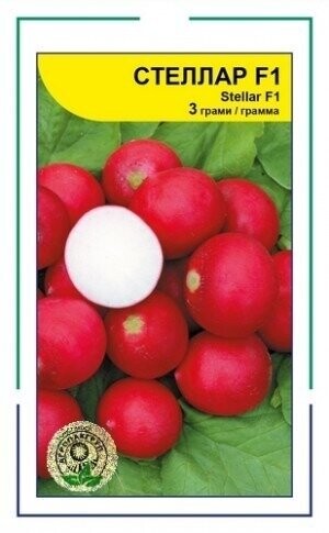 Редис Стелар F1 3г. А. (Syngenta) Редис Стелар F1 3г. А. (Syngenta)