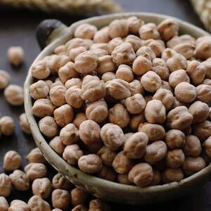 Нут турецький великий