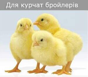 Комбікорм ПК 3-4(віком від 9 до 17 тижнів) Мішок 20 кг.