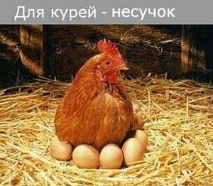 Комбікорм ПК  1-25	(віком від 48 тижнів) Мішок 20 кг.