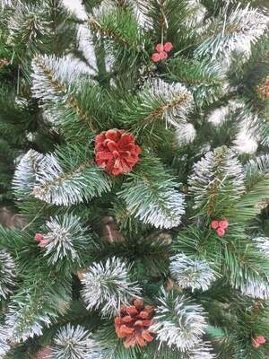 Кармен,калина Кармен,калина