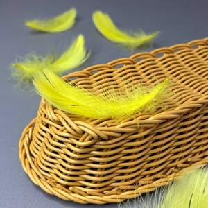 Перья гусиные для рукоделия 9-13 см, 95шт - Желтый