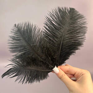 5шт - Перья страуса для рукоделия 13-18 см - черный