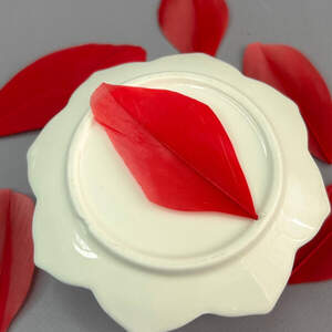 Перья гусиные для рукоделия 5-7 см, 50шт - красный