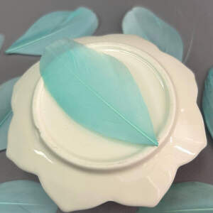 Перья гусиные для рукоделия 5-7 см, 50шт - мятный