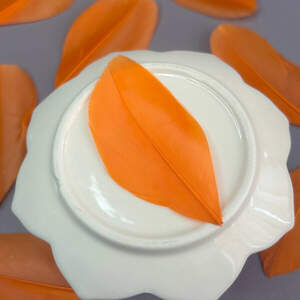 Перья гусиные для рукоделия 5-7 см, 50шт - оранжевый