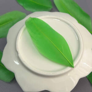 Перья гусиные для рукоделия 5-7 см, 50шт - салатовый