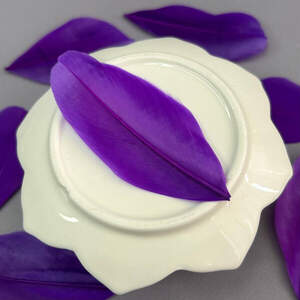 Перья гусиные для рукоделия 5-7 см, 50шт - фиолетовый