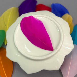 Перья гусиные для рукоделия 5-7 см, 50шт - яркий микс