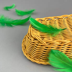 Перья гусиные для рукоделия 9-13 см, 95шт - зеленый