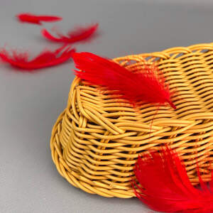 Перья гусиные для рукоделия 9-13 см, 95шт - красный