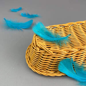 Перья гусиные для рукоделия 9-13 см, 95шт - лазурный