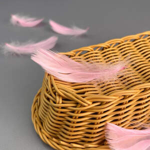 Перья гусиные для рукоделия 9-13 см, 95шт - розовый