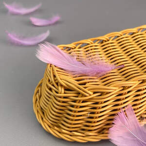 Перья гусиные для рукоделия 9-13 см, 95шт - сиреневый