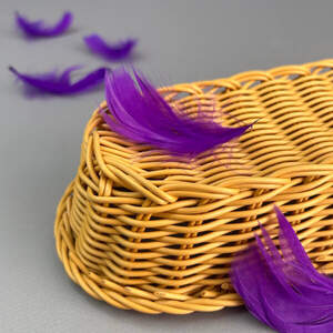 Перья гусиные для рукоделия 9-13 см, 95шт - фиолетовый