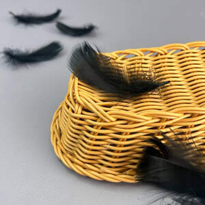 Перья гусиные для рукоделия 9-13 см, 95шт - черный