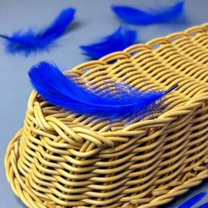 Перья гусиные для рукоделия 9-13 см, 95шт - Электрик