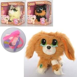 'яка іграшка - вихованці потеряшка,