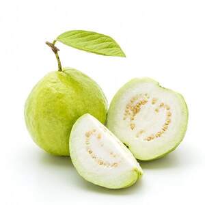 Гуава. (Psidium guineense) Гуава. (Psidium guineense)