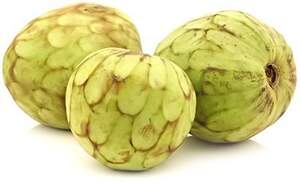 Аннона Черімойя (Annona cherimola) Sugar Apple Аннона Черімойя (Annona cherimola) Sugar Apple