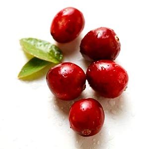 Начинка клюквенная. Клюквенная начинка в таре 12кг Начинка клюквенная. Клюквенная начинка в таре 12кг