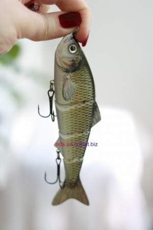 Minnow D4J01 Minnow D4J01