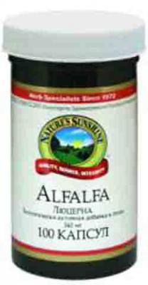 Люцерна (Альфальфа, Alfalfa, альфа альфа) Люцерна (Альфальфа, Alfalfa, альфа альфа)