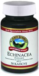 Эхинацея (Echinacea) NSP Эхинацея (Echinacea) NSP