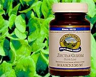 Листья оливы (Olive leaf ) NSP Листья оливы (Olive leaf ) NSP