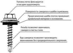4,8 х19 Кровельный саморез металл-дерево цинк 4,8 х19 Кровельный саморез металл-дерево цинк