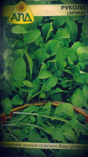 Рукола (Эрука)
