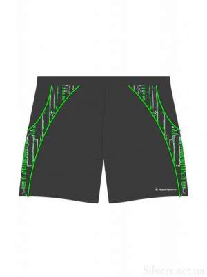 Плавки-шорты Aqua Sphere Matt (SM1821031100)