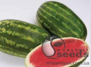 Арбуз Фарао 1000 семян.  (Syngenta)