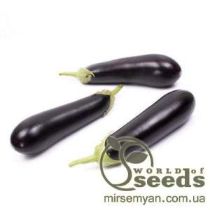 Баклажаны Бриджит F1. 1000 семян. (Rijk Zwaan)