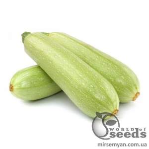 Кабачок Аймаран 1000 семян. (Nunhems)