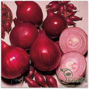 Лук Ред Барон 10 000 семян. (Bejo)