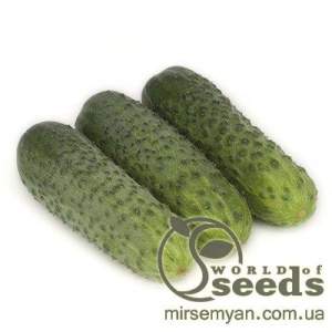 Огурец Караоке F1 1000 семян. (Rijk Zwaan)
