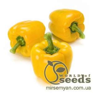 Перец Иланга F1 1000 семян. (Rijk Zwaan)