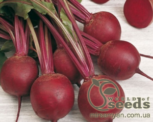 Свекла Пабло F1 10 000 семян. (Bejo)