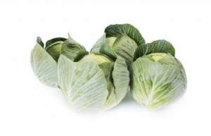 Капуста Флексима F1 2500 семян. (Rijk Zwaan)