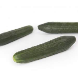 Огурец Святогор F1 1000 семян. (Rijk Zwaan) Огурец Святогор F1 1000 семян. (Rijk Zwaan)