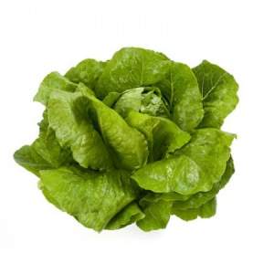 Салат Викторинус 5000 семян. (Rijk Zwaan)