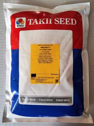 Лук Медуза 250 000 семян. (Takii Seeds)