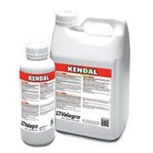 КЕНДАЛ/KENDAL - Активатор собственного иммунитета растения 5 л, Valagro