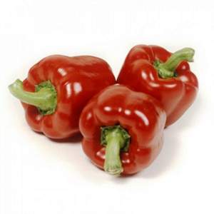 Перец Мазурка F1 100 семян. (Rijk Zwaan)