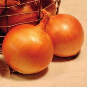 Семена лука Фронтино F1 250 000 семян. (Hazera)