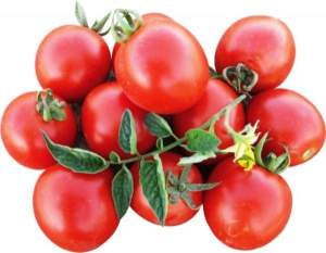 Семена томата Боцман F1 10 000 семян. (Lark Seesd)