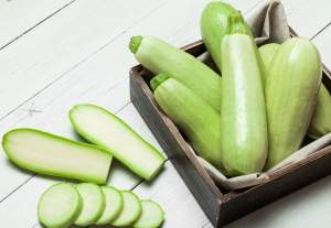 Кабачок Теренум F1 500 семян. (Lark Seeds)