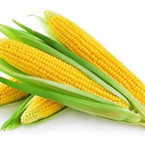 Сахарная кукуруза Страйк F1.   2 500 семян. (Lark Seesd)